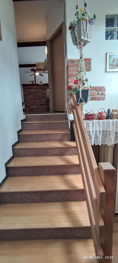 Apartament Liammarco Plaški Zewnętrze zdjęcie